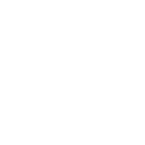 Saint Patrick School